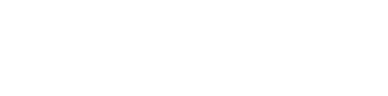 Bet365 Sportsbook Online Review