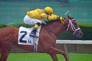 horse betting online