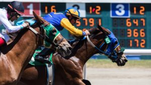 horse racing bets online