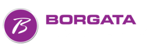 Borgata Casino Logo