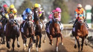 Exacta Box Bets for Horse Betting